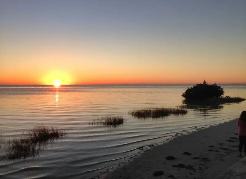 new port richey windshield replacement