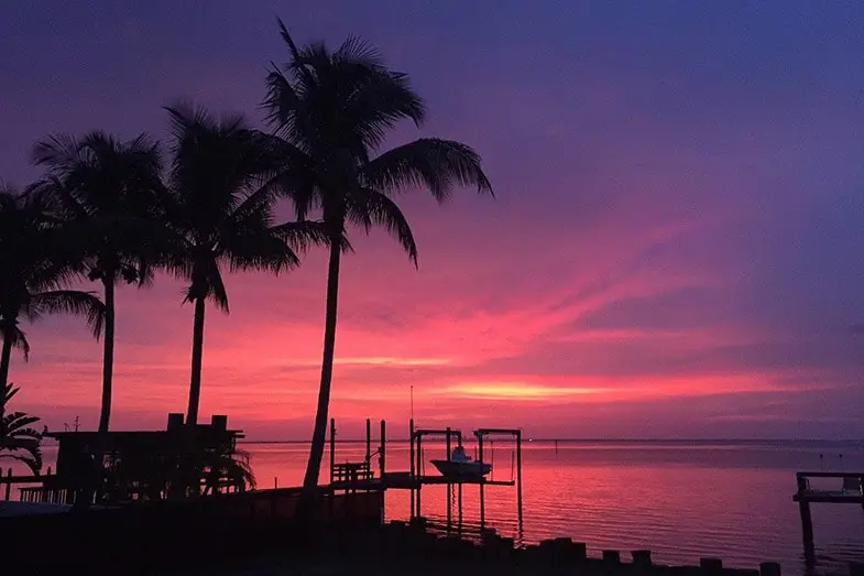 Fast Windshield Replacement Ruskin