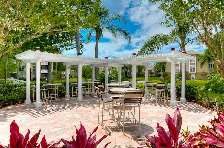 Professional Windshield Replacement In Brandon