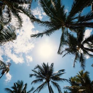 Affordable Windshield Replacement In Brandon