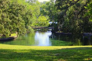 Windshield Replacement Cost in Apopka