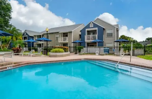 Windshield Replacement Cost in Carrollwood