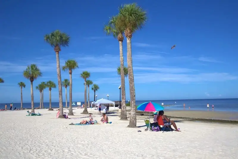 Windshield Replacement Cost in Spring Hill