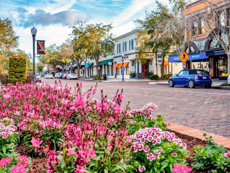 Windshield Replacement Cost in Winter Park